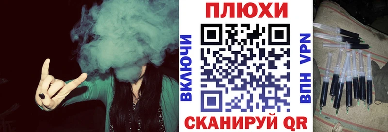 ГАШ Premium  Кизляр 