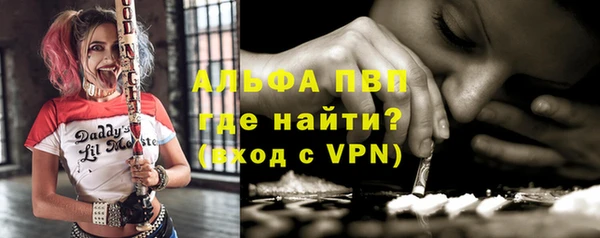 прущие грибы Абинск