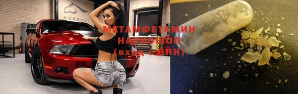 прущие грибы Абинск