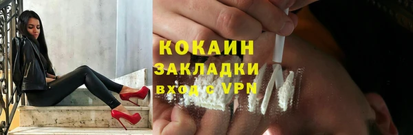прущие грибы Абинск