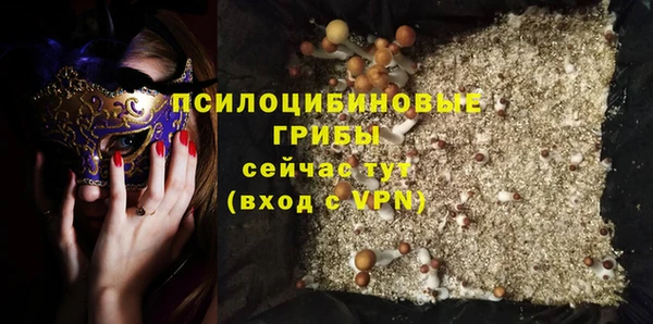 прущие грибы Абинск