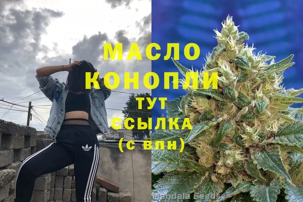 дмт Алексин