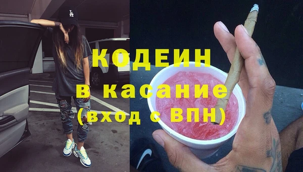 прущие грибы Абинск