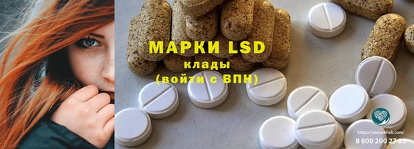 прущие грибы Абинск