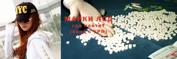 прущие грибы Абинск