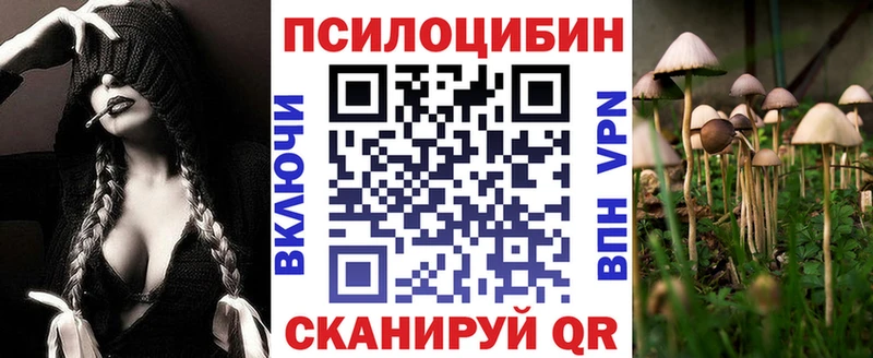 Псилоцибиновые грибы Magic Shrooms  где можно купить наркотик  Кизляр 