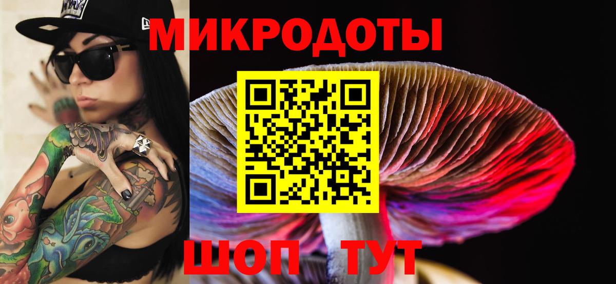Псилоцибиновые грибы Psilocybine cubensis  Вход с VPN  Кизляр 
